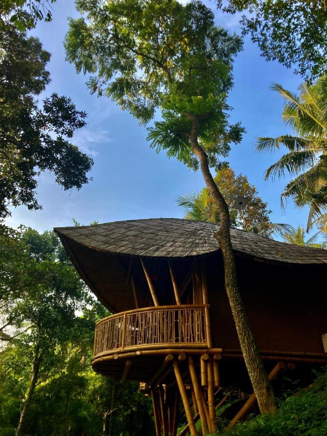 Bamboo Turtles Ecolodge Ubud Buitenkant foto